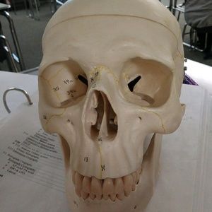 Meet your Posher, Crissy